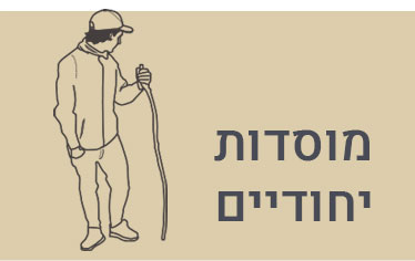 מוסדות יחודיים